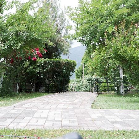 Lampros Studio Kalampáka Dış mekan fotoğraf