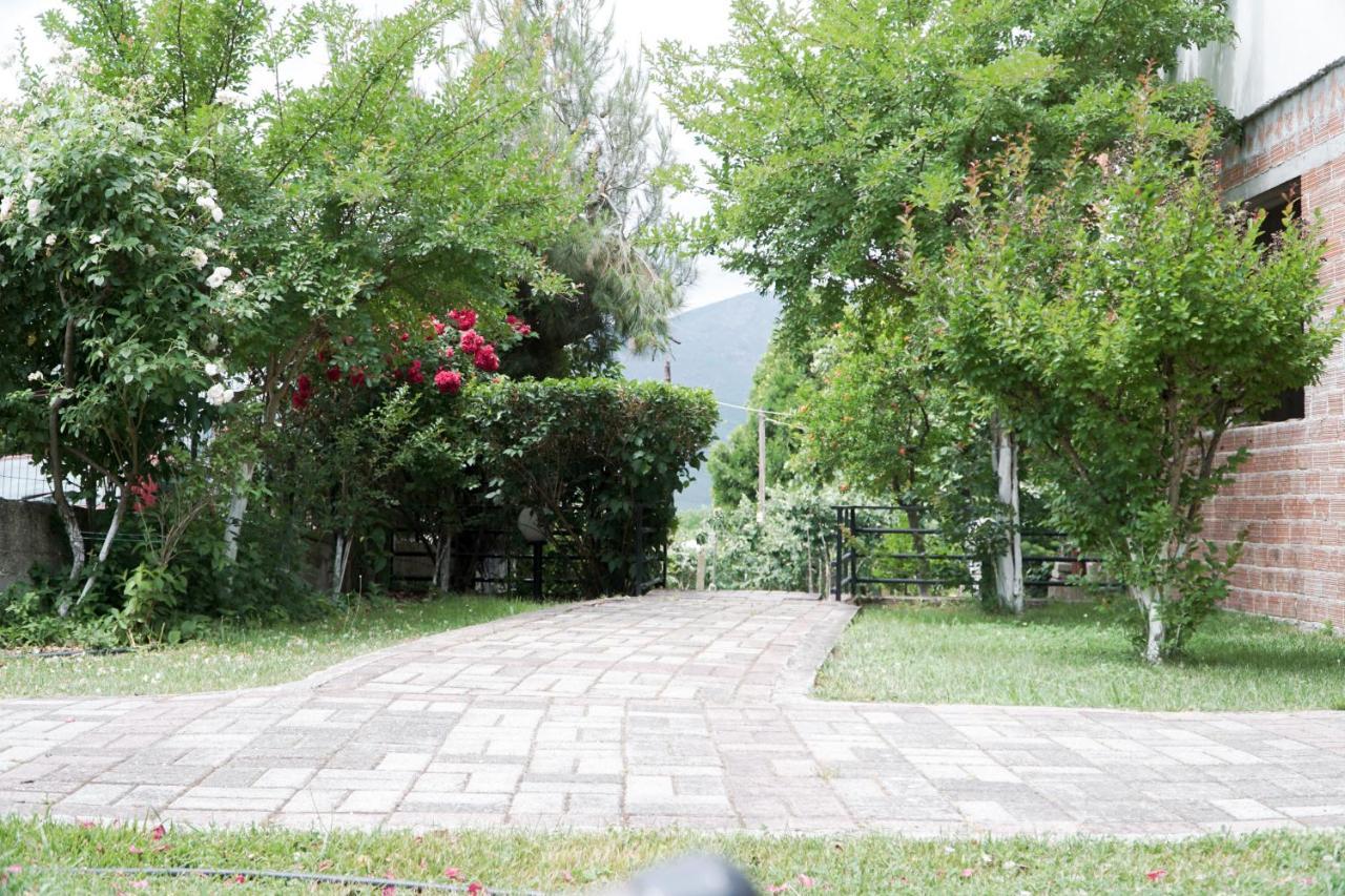 Lampros Studio Kalampáka Dış mekan fotoğraf